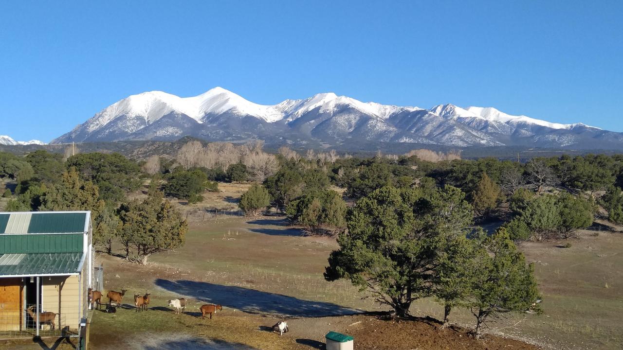 Mountain Goat Lodge Salida Exterior foto