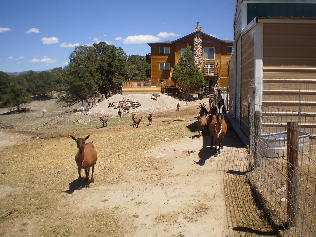 Mountain Goat Lodge Salida Exterior foto